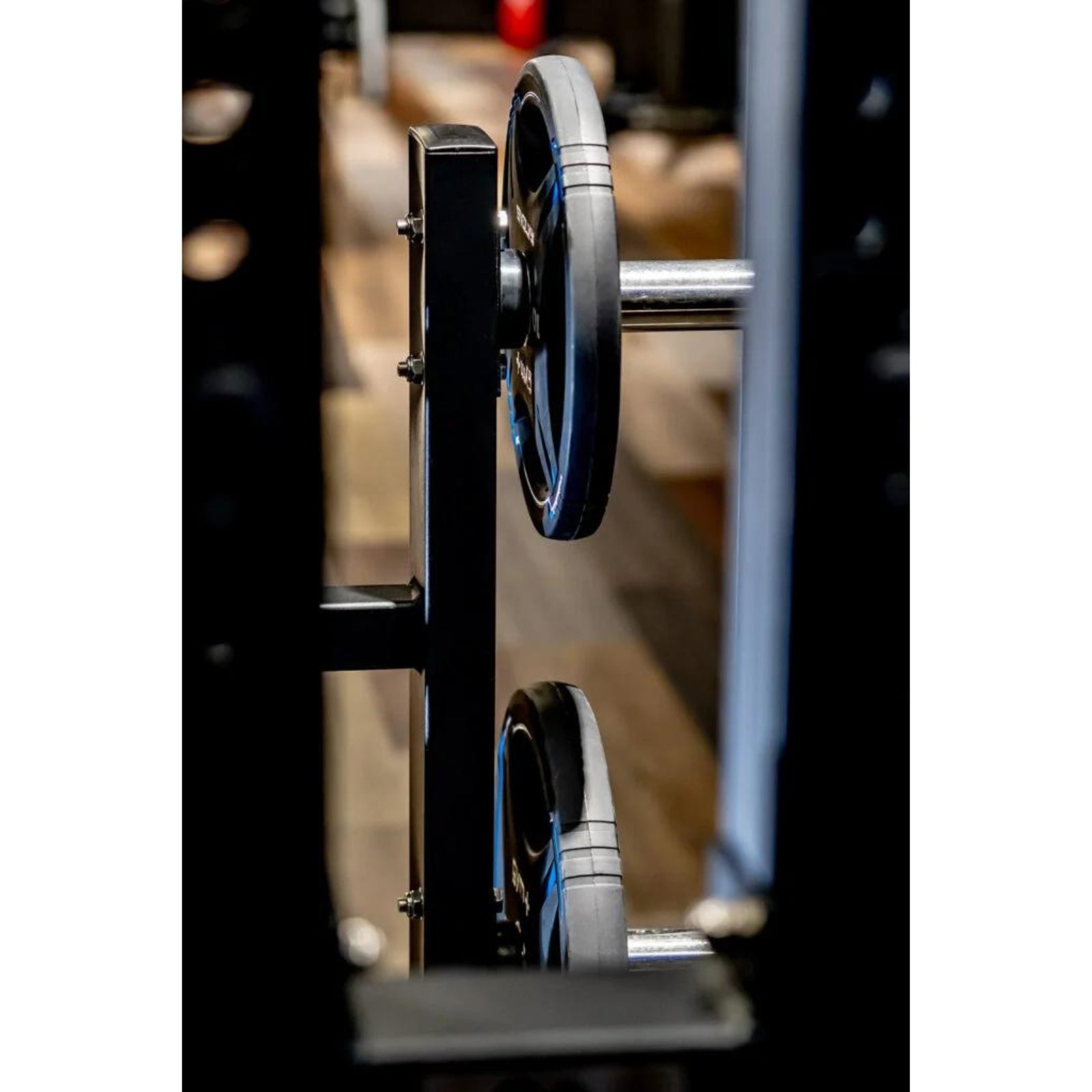 Gürtel-Kniebeugenmaschine - Evolve Fitness Prime Series PR-005 mit Gewichtsscheiben