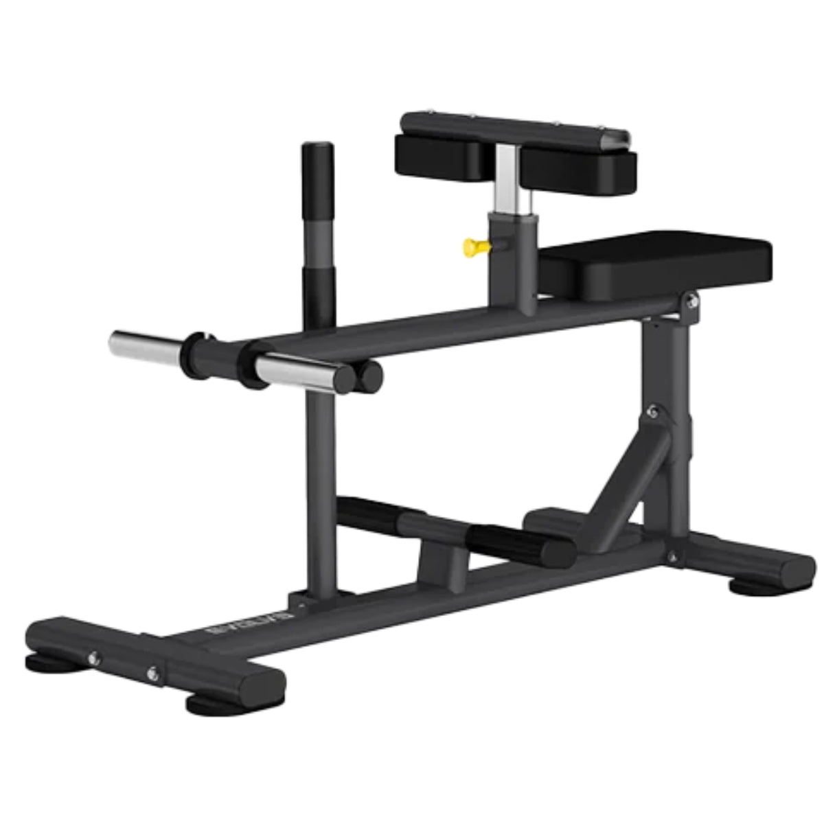 Sitzende Wadenhebemaschine - Evolve Fitness Econ Serie EC-011 mit Gewichtsscheiben