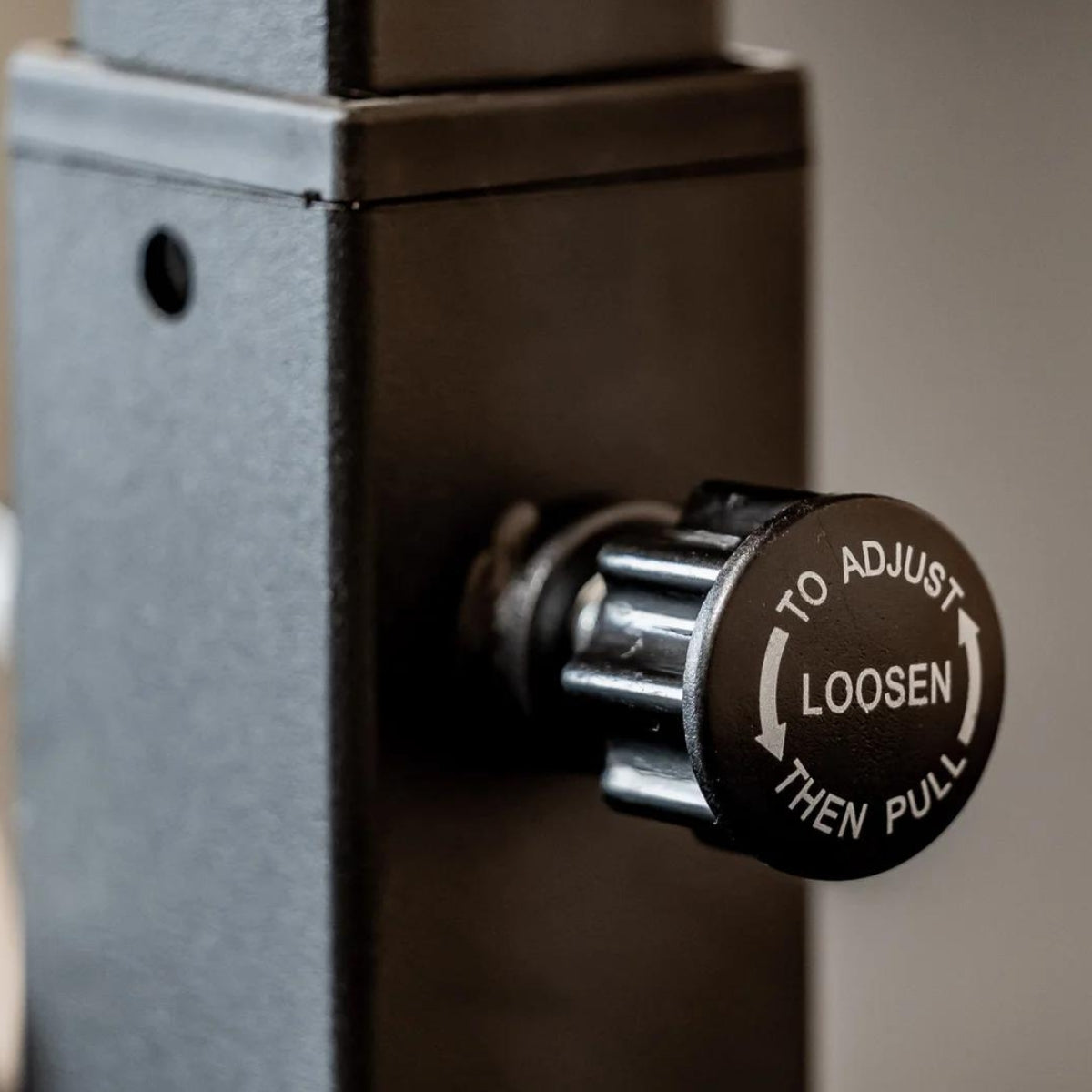 Verstellbare Hantelbank - Evolve Fitness Econ Serie EC-100