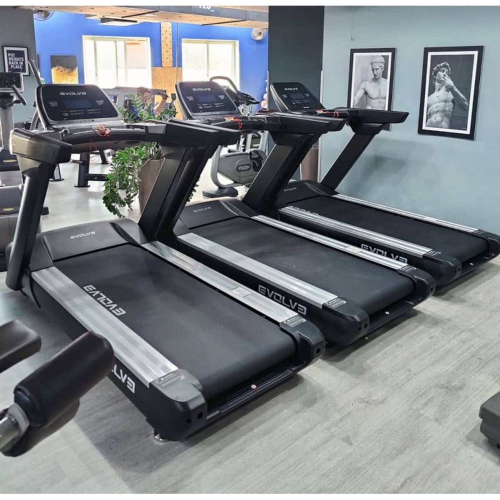 Evolve Fitness Econ Series CT-500-LCD Professionelles Laufband