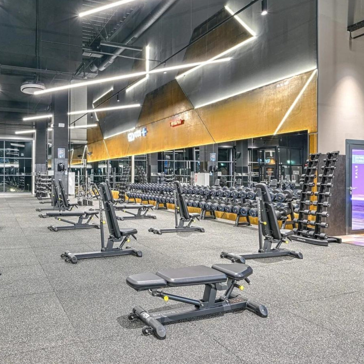 Verstellbare Hantelbank - Evolve Fitness Prime Series PR-204 Verstellbare Bank