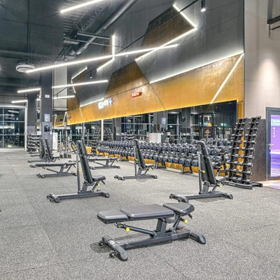 Verstellbare Hantelbank - Evolve Fitness Prime Series PR-204 Verstellbare Bank