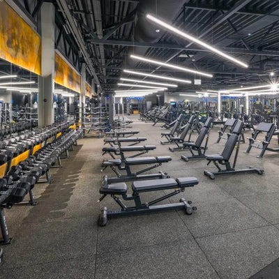 Verstellbare Hantelbank - Evolve Fitness Prime Series PR-204 Verstellbare Bank