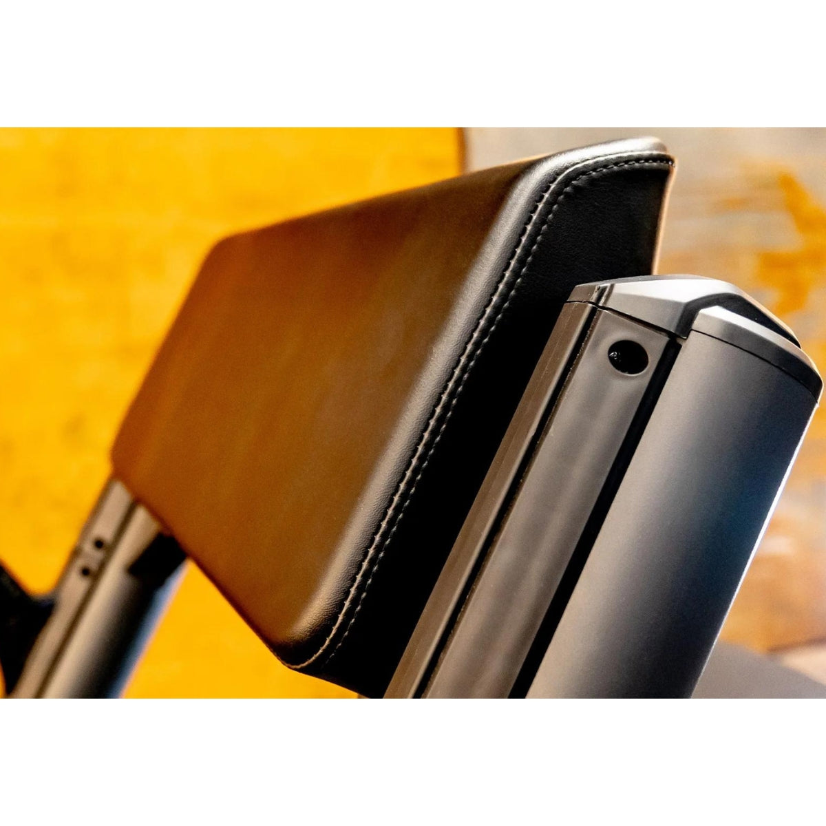 Bizepsbank - Evolve Fitness Prime Series PR-206