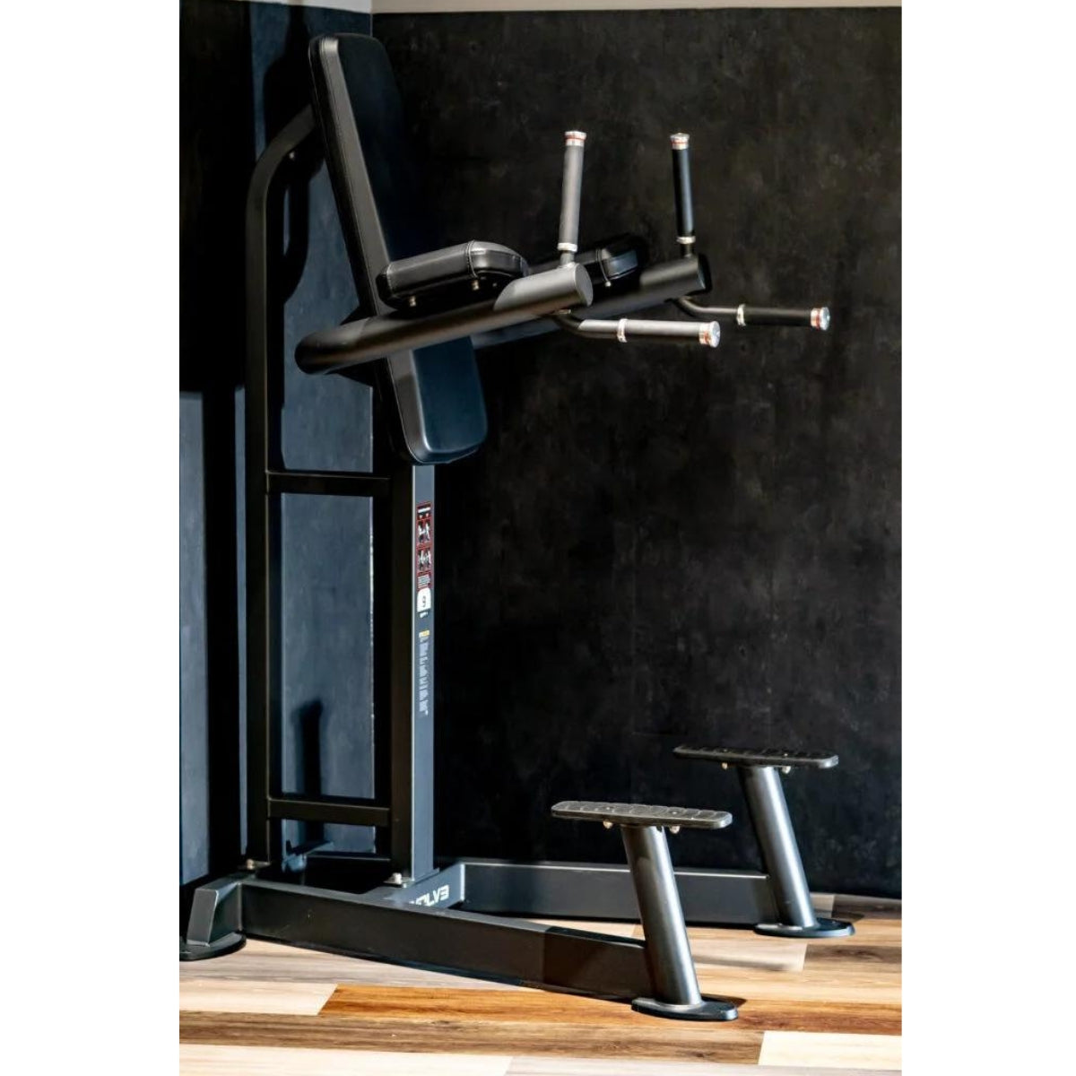 Dip- und Kniehebe-Station - Evolve Fitness Prime Series PR-215