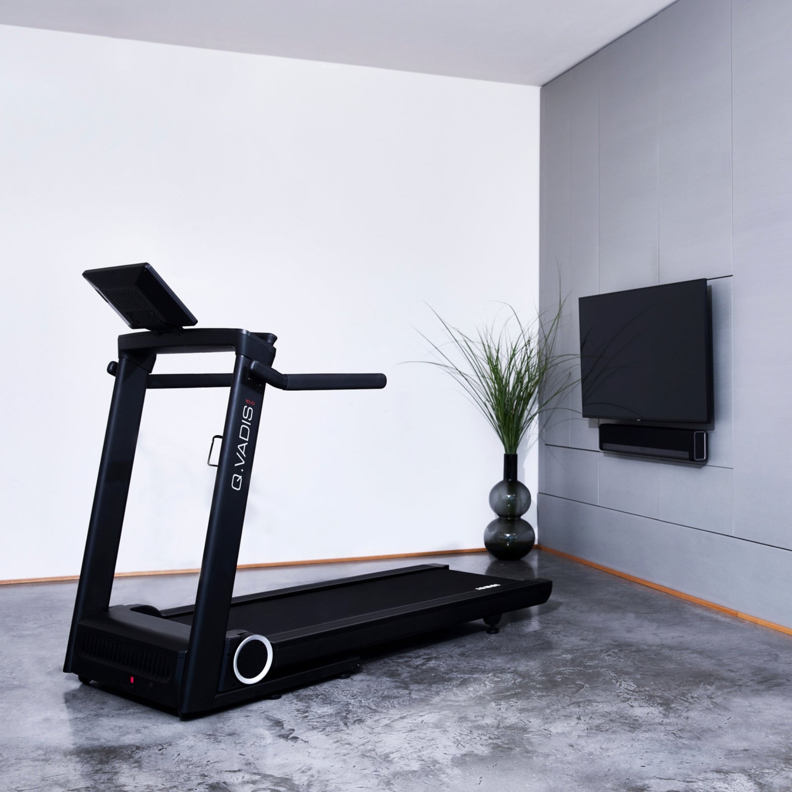 Hammer Q Vadis 10.0 Laufband