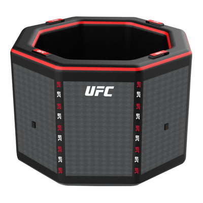 Netspa UFC Octagon Eisbad