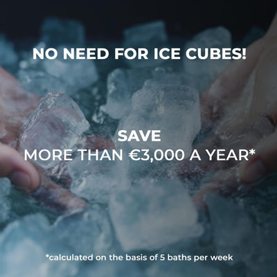 NetSpa Ice Vita Eisbad + Spa für 4 Personen - multifunktional - 5 kW