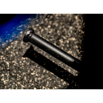 Gürtel-Kniebeugenmaschine - Evolve Fitness Prime Series PR-005 mit Gewichtsscheiben