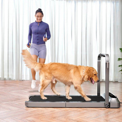 KingSmith WalkingPad R2 opvouwbare 2-in-1 loopband