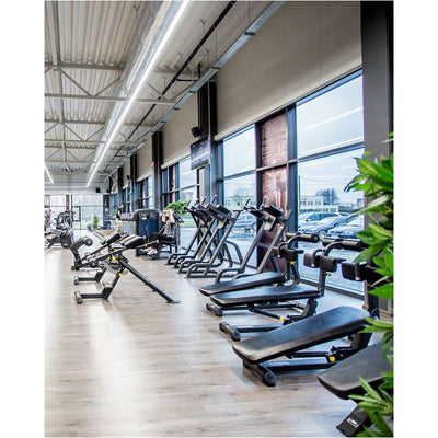 Bauchmuskelbank - Evolve Fitness Prime Series PR-218