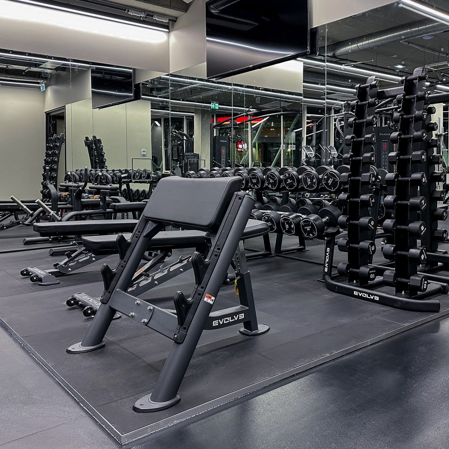 Bizepsbank - Evolve Fitness Prime Series PR-206