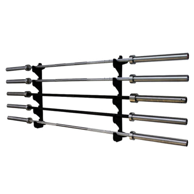 Evolve Fitness RS-BR-100 - Horizontales Ablagegestell für 10 Langhanteln