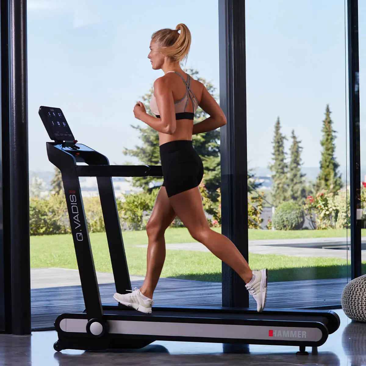 Hammer Q Vadis 3.0 Laufband