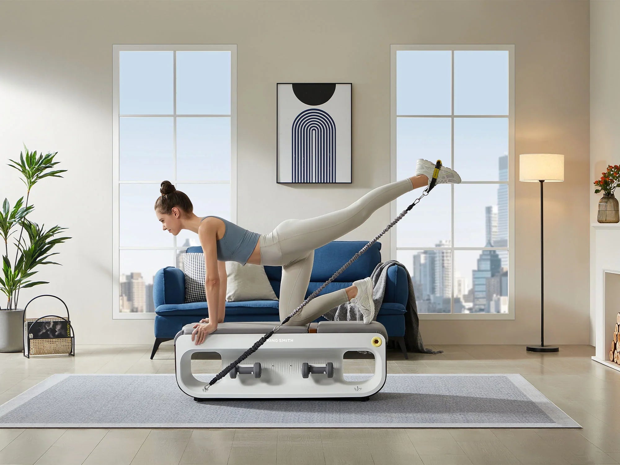 KingSmith WalkingPad multifunctionele trainingsbank met kabels