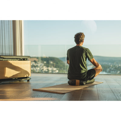 NOHRD CombiTrainer - Erweiterung für Sprossenwände - 6 Varianten